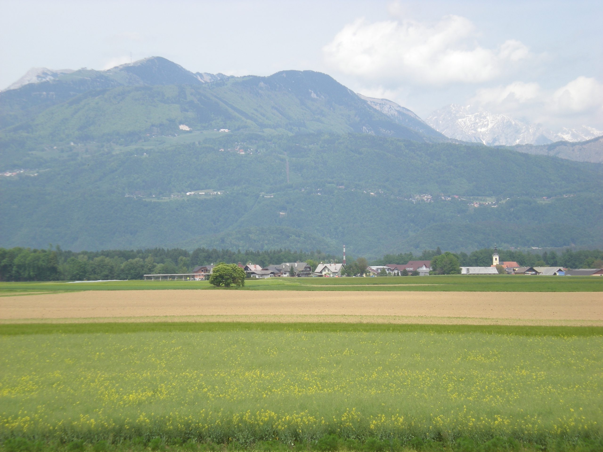 DSCN1584